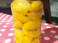 Őszibarackbefőtt (670ml)